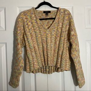 Forever 21 Plus Cropped Long Sleeve Sweater in Multi Color Knit